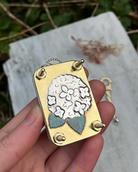 Hydrangea