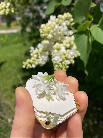 Mini Flower Press Crafty